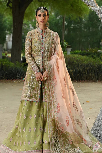 QALAMKAR | SINGHAR | QS24-07 HALENA