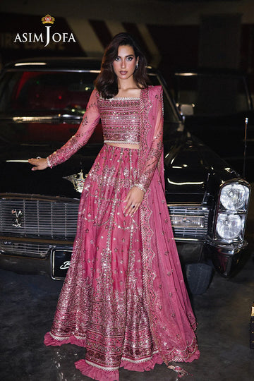 ASIM JOFA | FESTIVE COLLECTION 25 | AJFF-03 EMBROIDERED NET 3 PCS