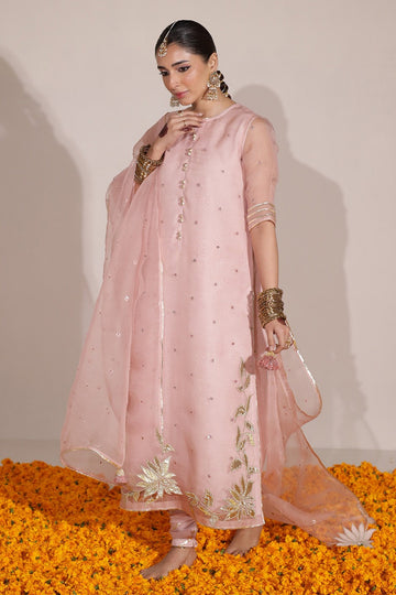 DYOT | CHAMPA'24 | BLUSH PINK OUTFIT | 3PC