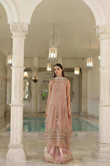 NOOR BY SADIA | NOOR FESTIVE 25 | D4 - TEA PINK | B
