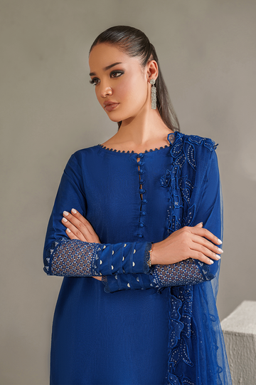 IZNIK | LUXURY PRET | IP-334 EMBROIDERED RAWSILK