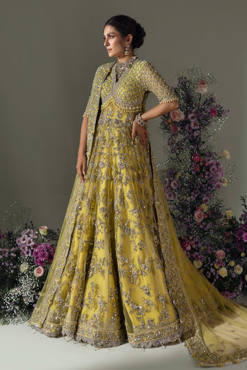 ELAN | WEDDING FESTIVE'24 | LIME BLOSSOM (EC24-03)