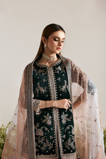 EMAAN ADEEL | ZARPOSH VELVET | MEHRUUNISA